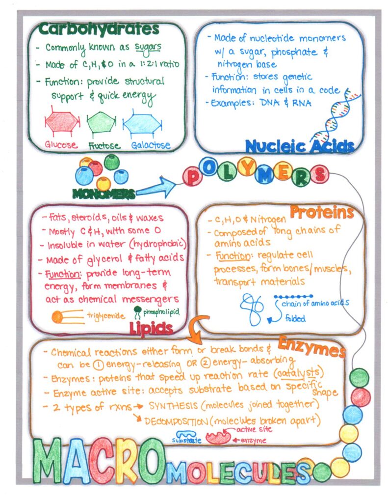 Science Doodle Notes