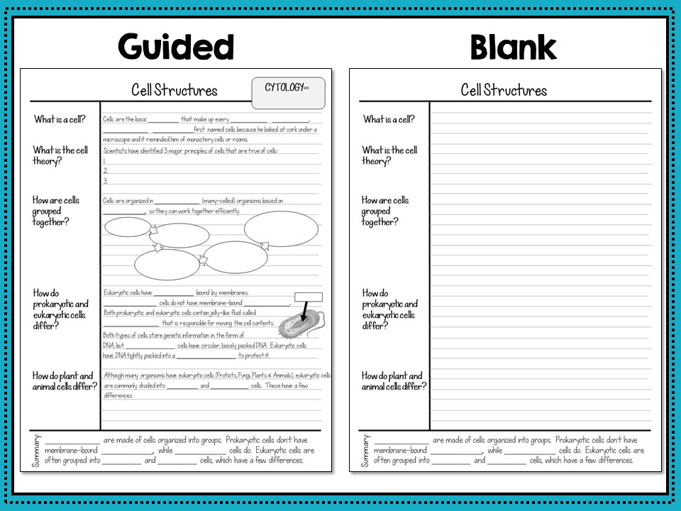 Science Cornell Notes