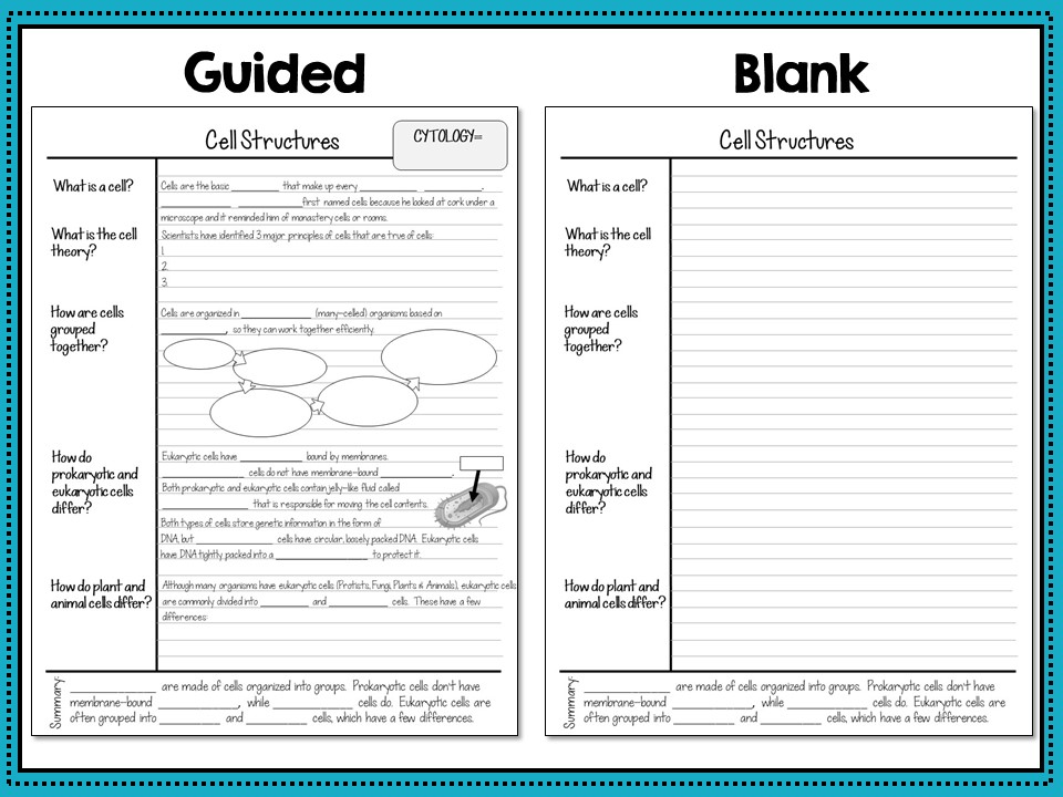 Cornell Notes Example