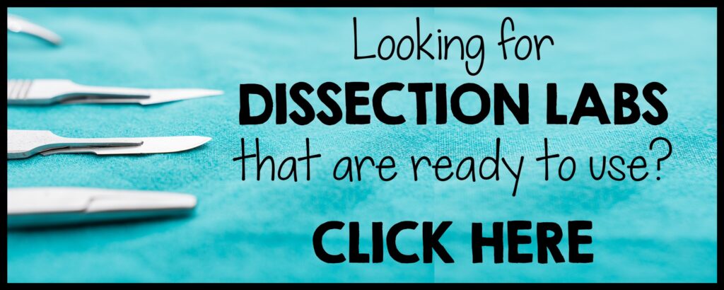 Dissection Lab Worksheets