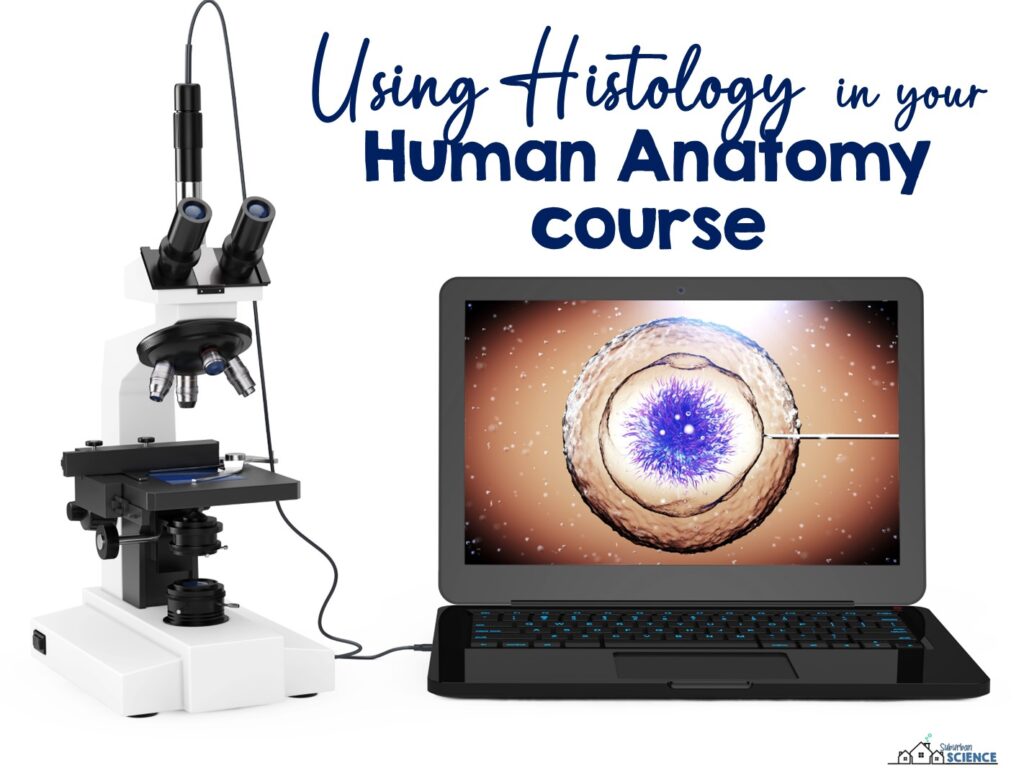 Histology Guide for Anatomy and Physiology Teachers