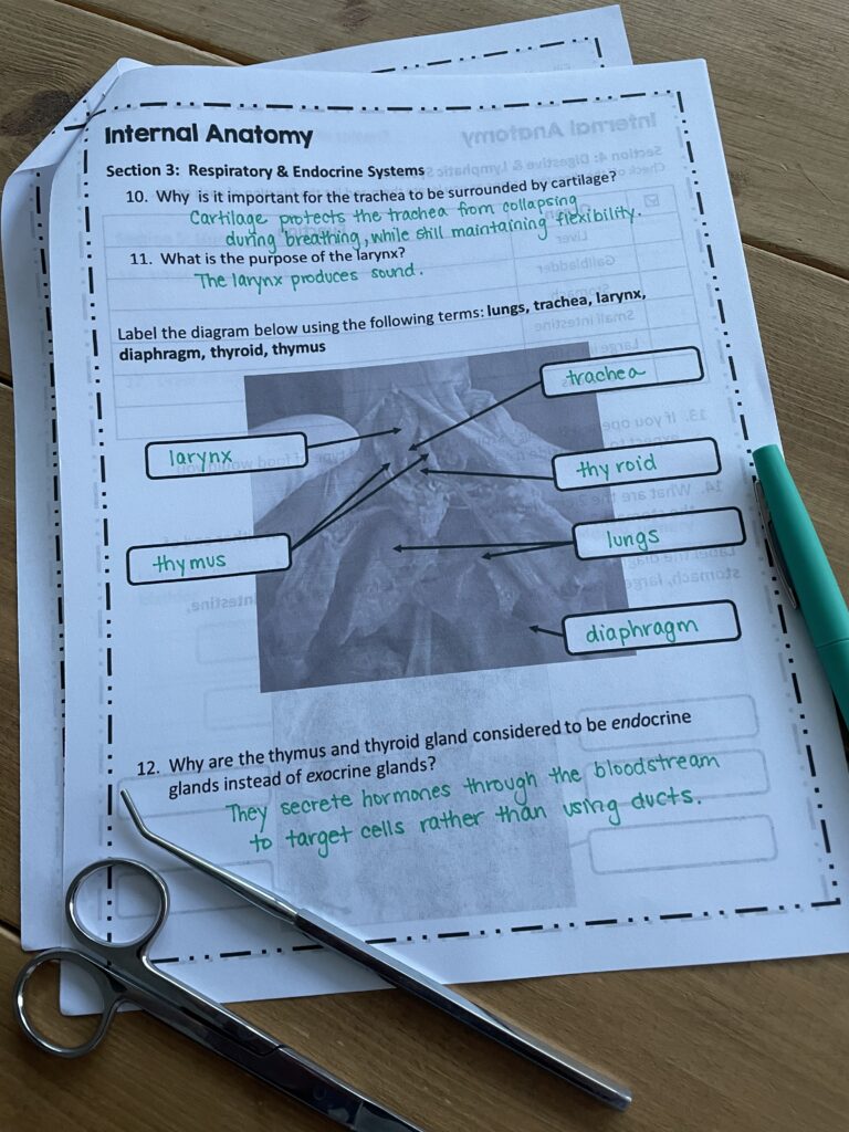 Dissection Lab instructions