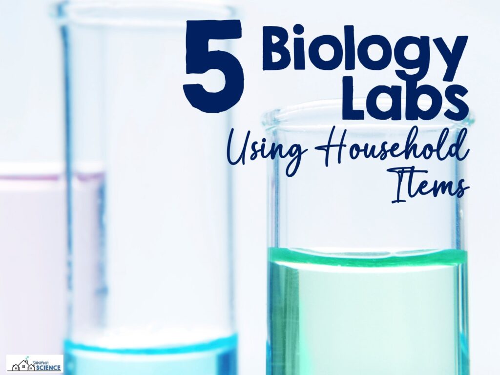 Biology experiments at home for homeschool Biology students