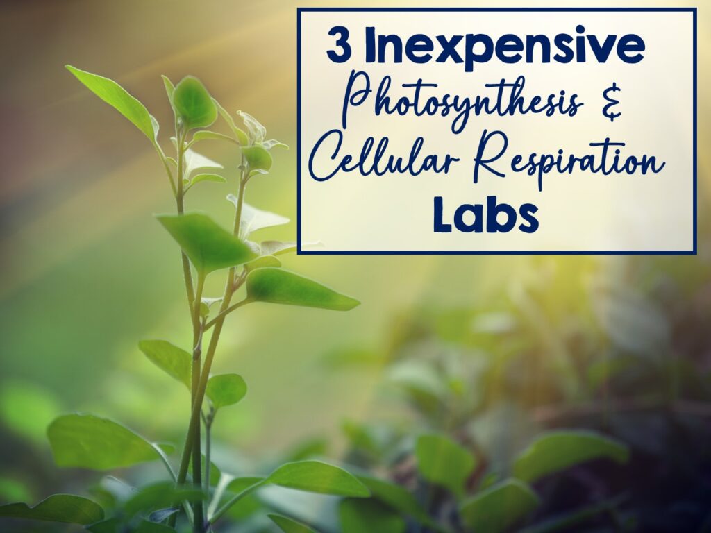 Photosynthesis Lab Experiments and Cellular Respiration Lab Experiment