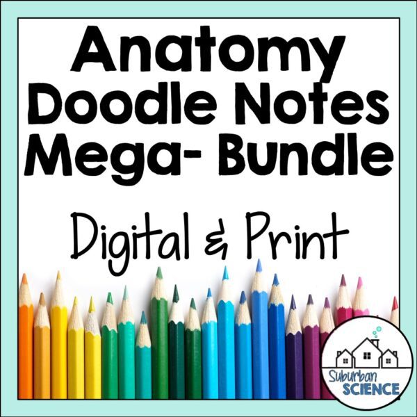 Anatomy and Physiology Doodle Notes Bundle
