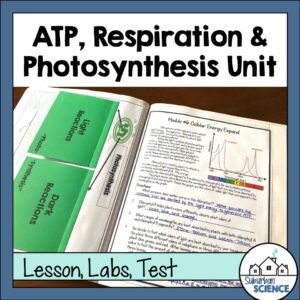 Photosynthesis and Cellular Respiration Lesson Plan