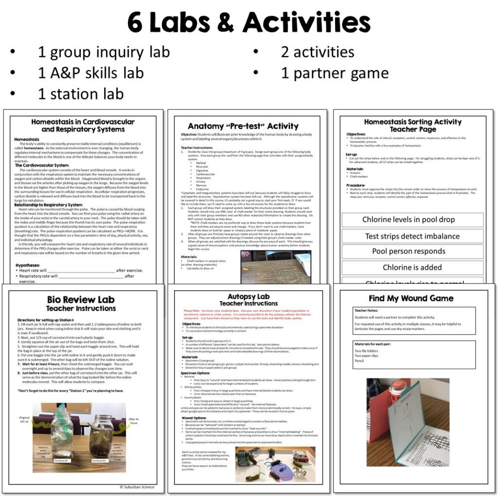 Introduction to Anatomy and Physiology Unit - Suburban Science