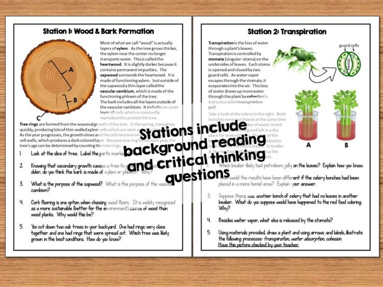 Plant Anatomy Lab Stations - Suburban Science