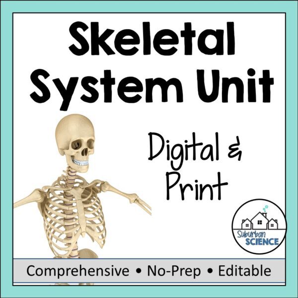 Skeletal System Unit