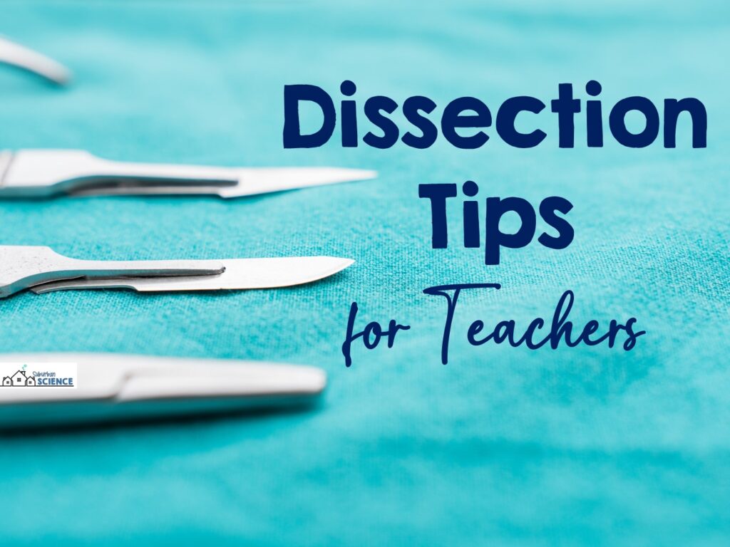 Teaching tips for Anatomy and Biology dissections