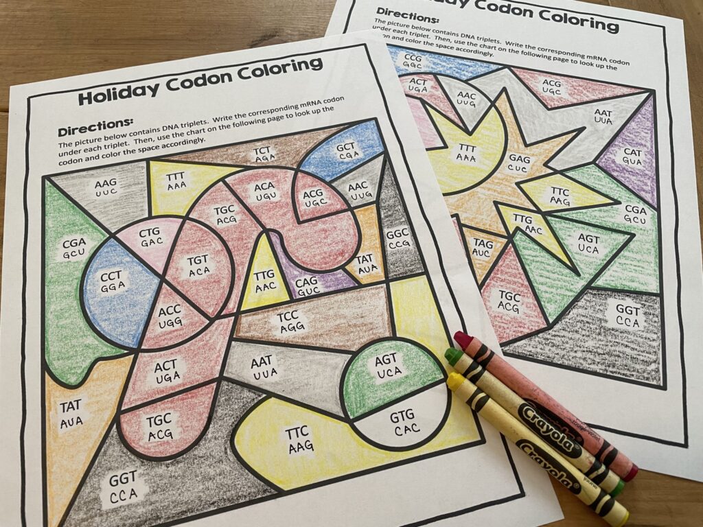 Christmas coloring page for science to practice DNA and protein synthesis