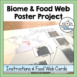 Food Web Project- World Biomes Poster Project