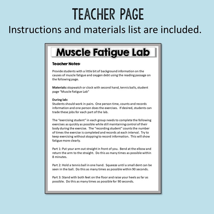 muscle-fatigue-lab-activity-suburban-science