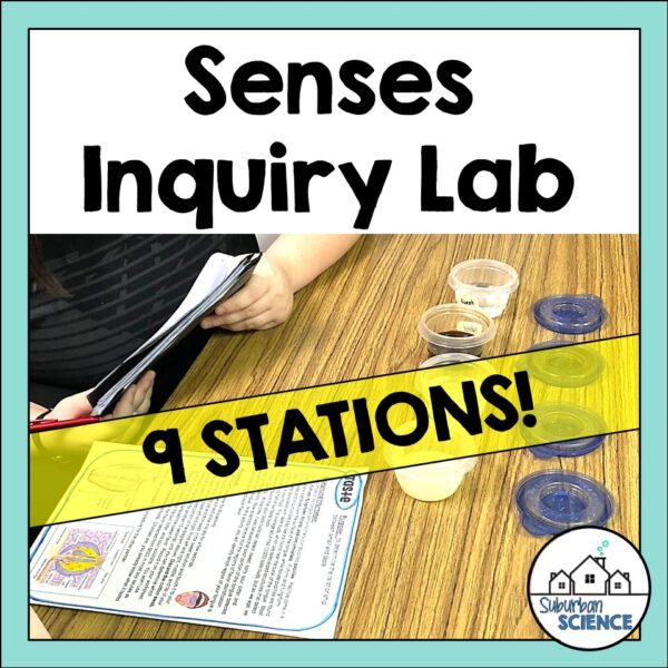 Five Senses Lab Inquiry Activity