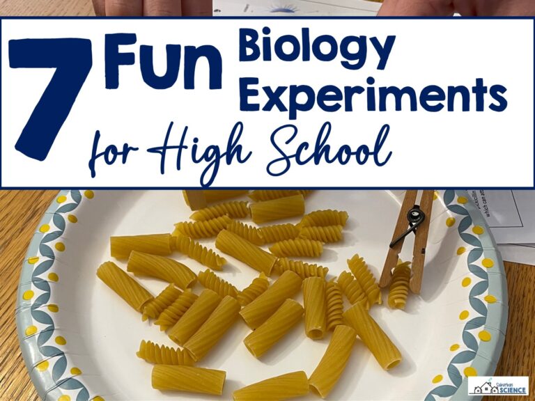 Fun Biology Experiments