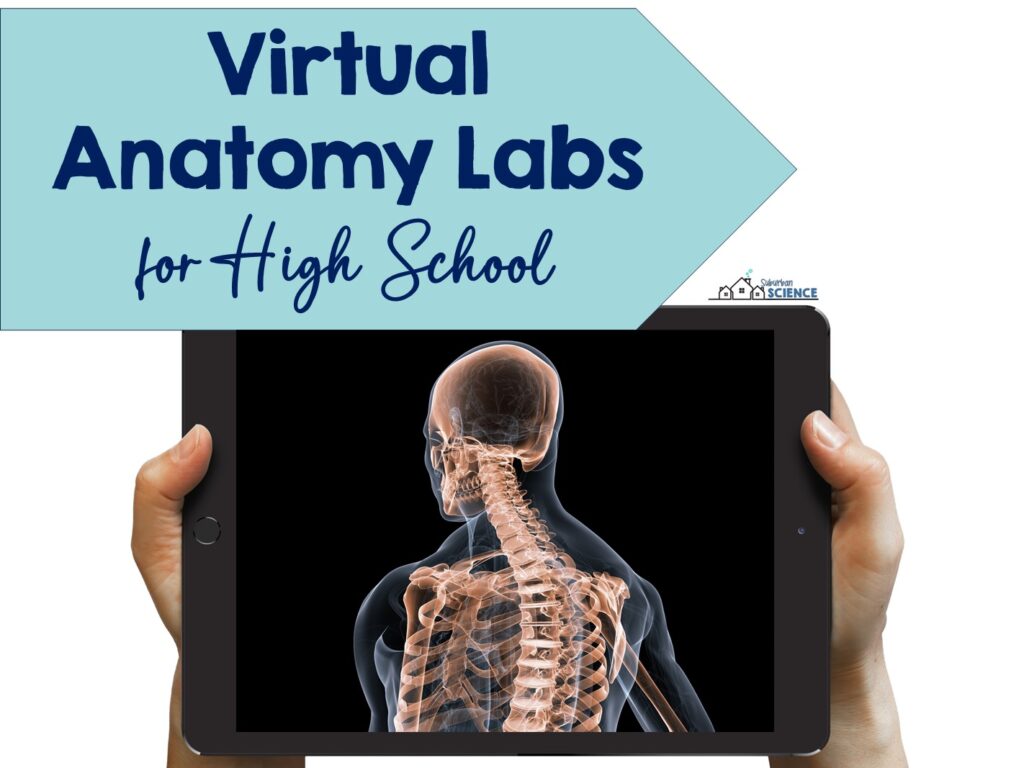 Virtual Anatomy Labs for High School