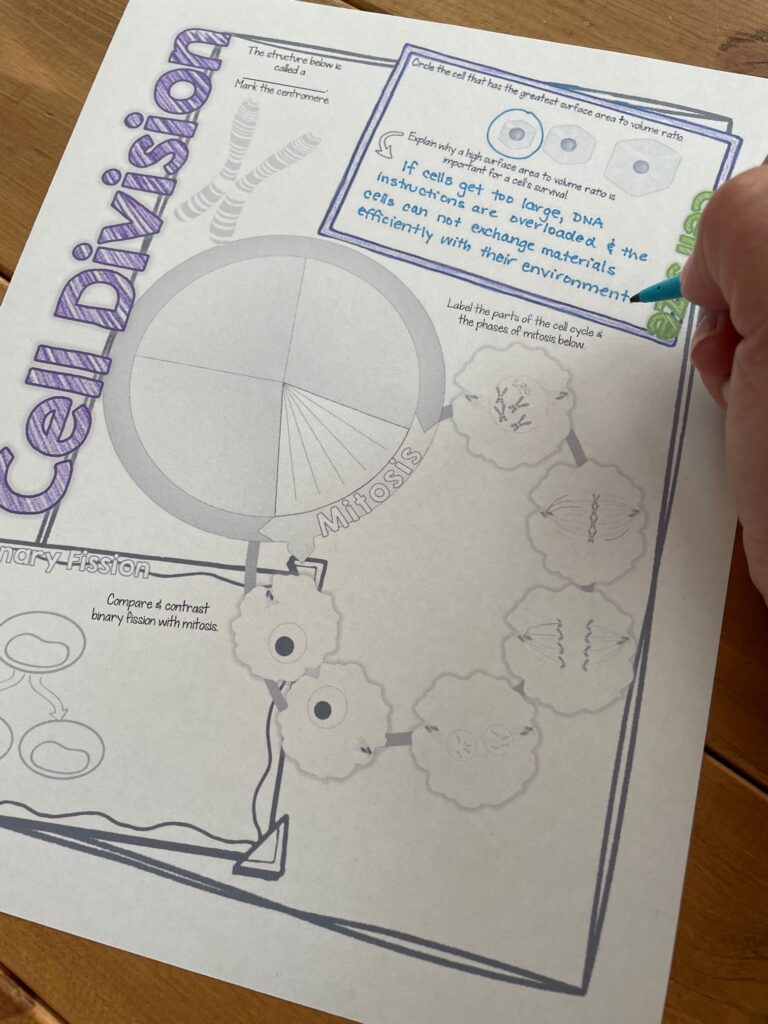 Doodle Notes- Early Finisher Activities