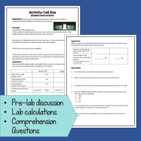 Cell Size Lab Demonstration- Diffusion and the Cell Cycle - Suburban ...