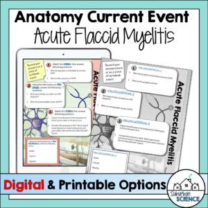 Nervous System Activity- Webquest