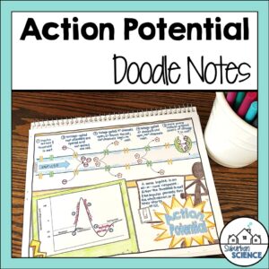 Action Potential Doodle Notes