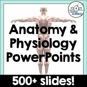 Anatomy and Physiology PowerPoint Bundle