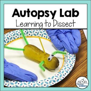 Pickle Dissection Lab