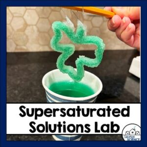 Borax Crystal Solubility Lab