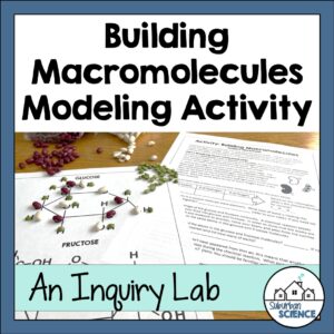 Macromolecules Model Activity