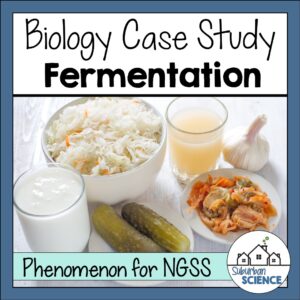 Fermentation Case Study