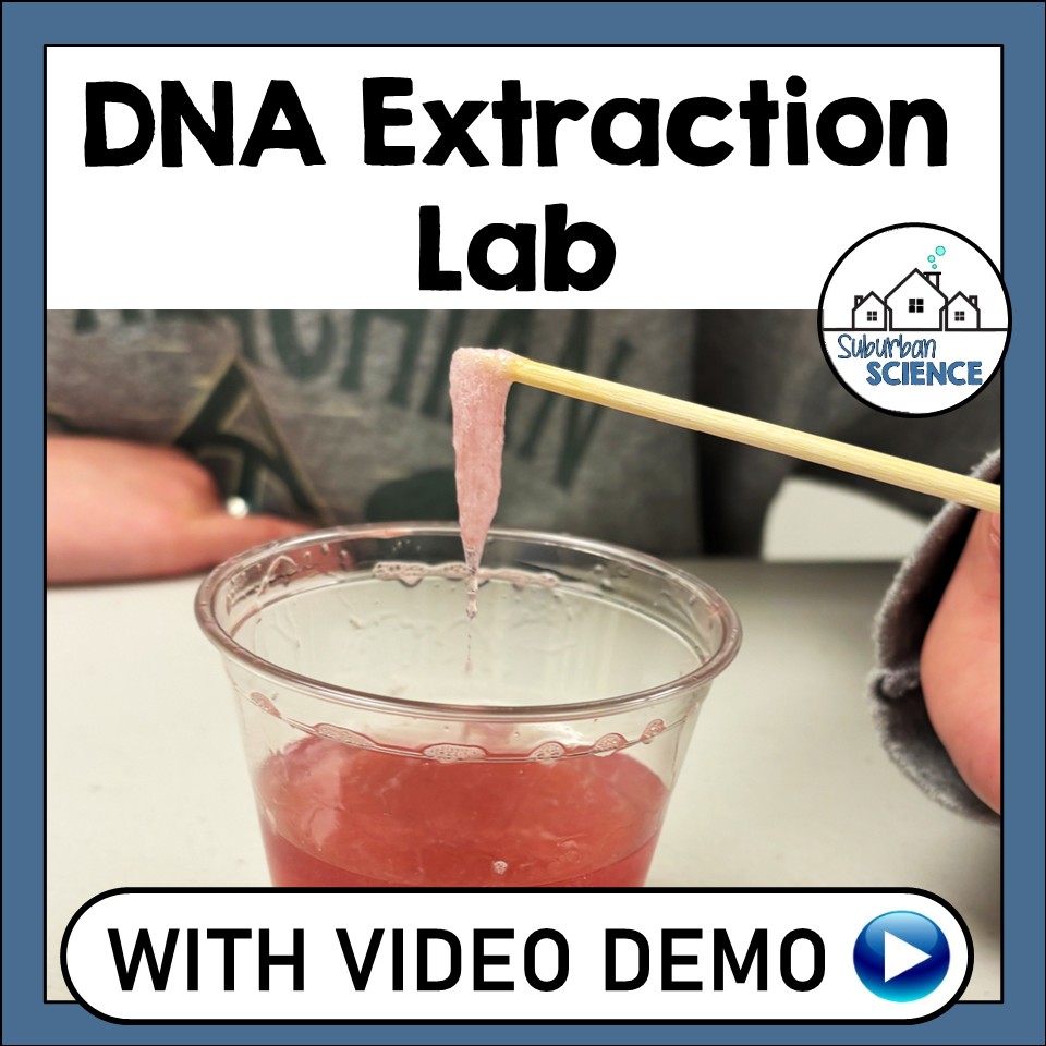 Strawberry DNA Extraction Lab