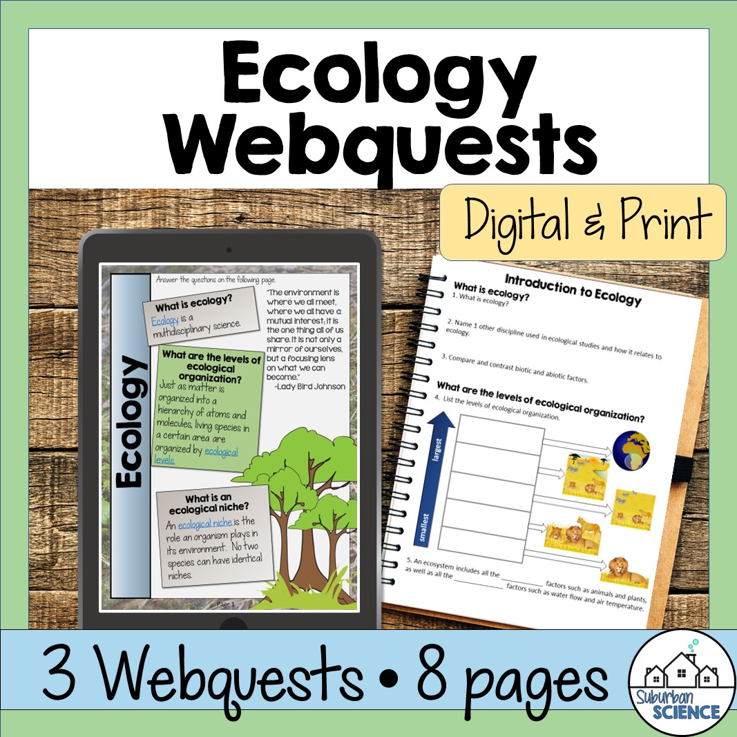 Food Web & Ecology Webquests