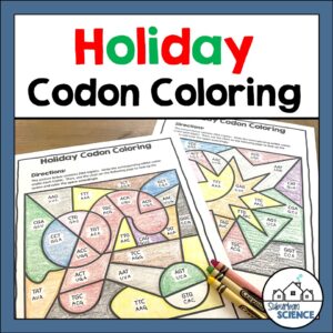 Biology Holiday Activity- Protein Synthesis Coloring