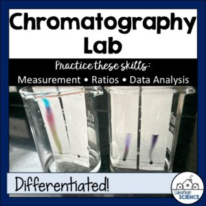Ink Chromatography Polarity Lab