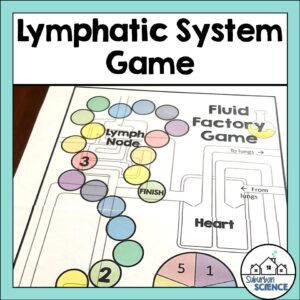 Lymphatic System Activity