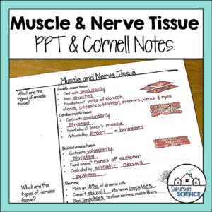 FREE Tissue Cornell Notes