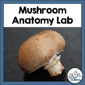 Mushroom Dissection Lab