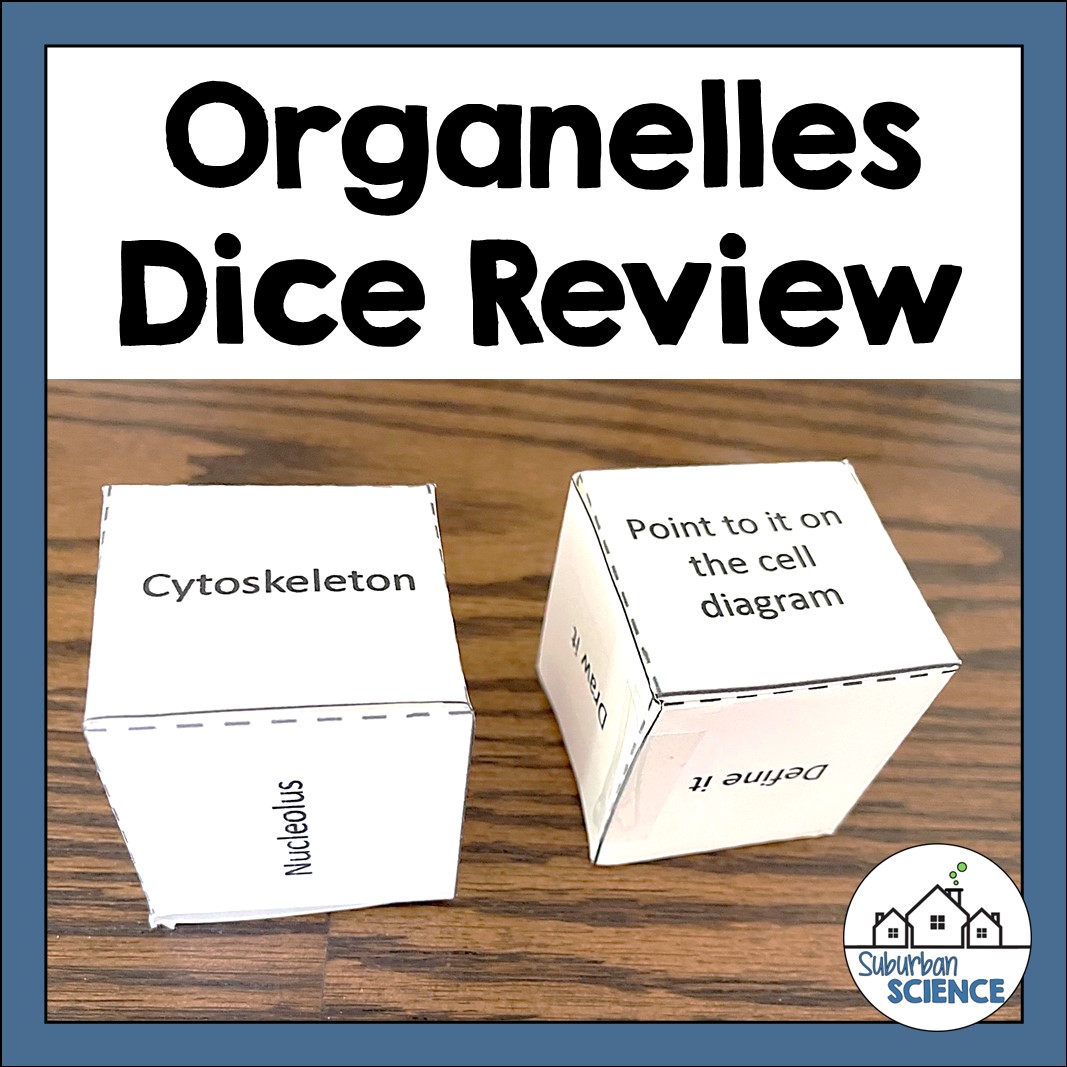 Cell Organelles Review Game