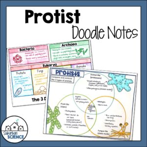 Protists Doodle Notes