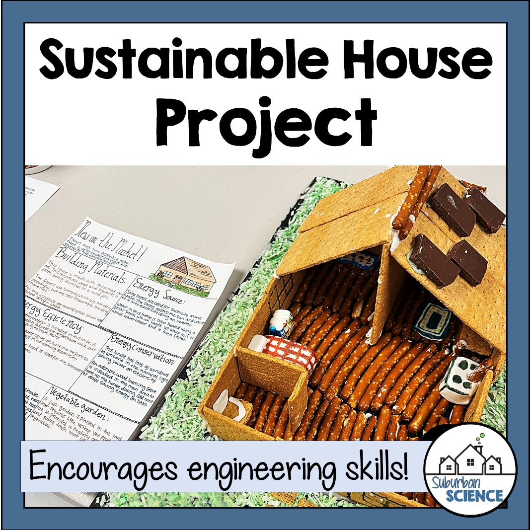 Sustainability Activity- Sustainable House Project