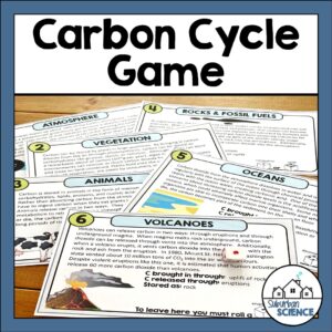 Carbon Cycle Game