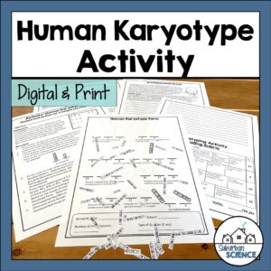 Human Karyotype Activity