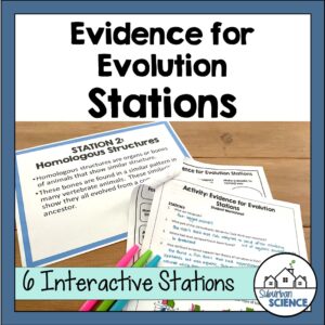 Evidence for Evolution Worksheet & Stations