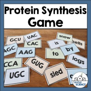 Winter Protein Synthesis Game