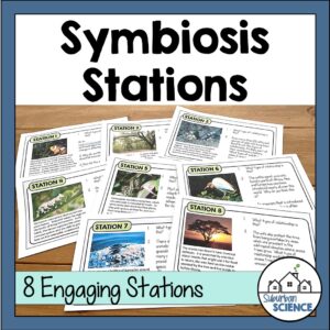 Symbiosis Stations Activity