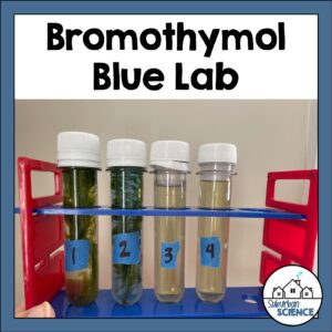 Photosynthesis and Cellular Respiration Lab