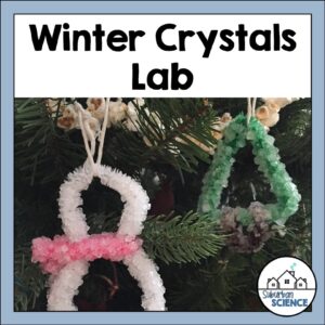 Borax Crystals Lab