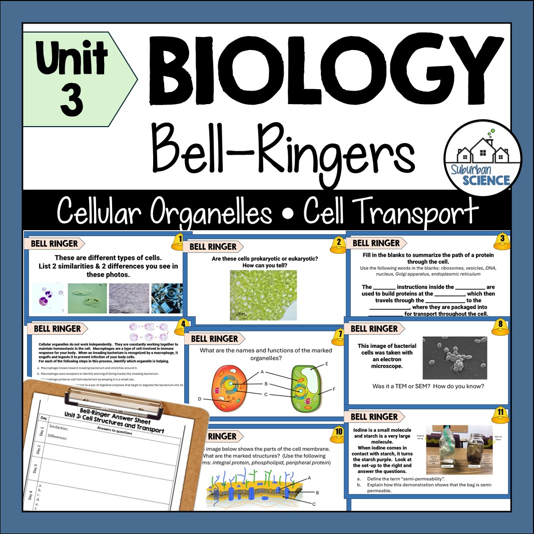 Biology Bell Ringers- Cell Structure & Transport