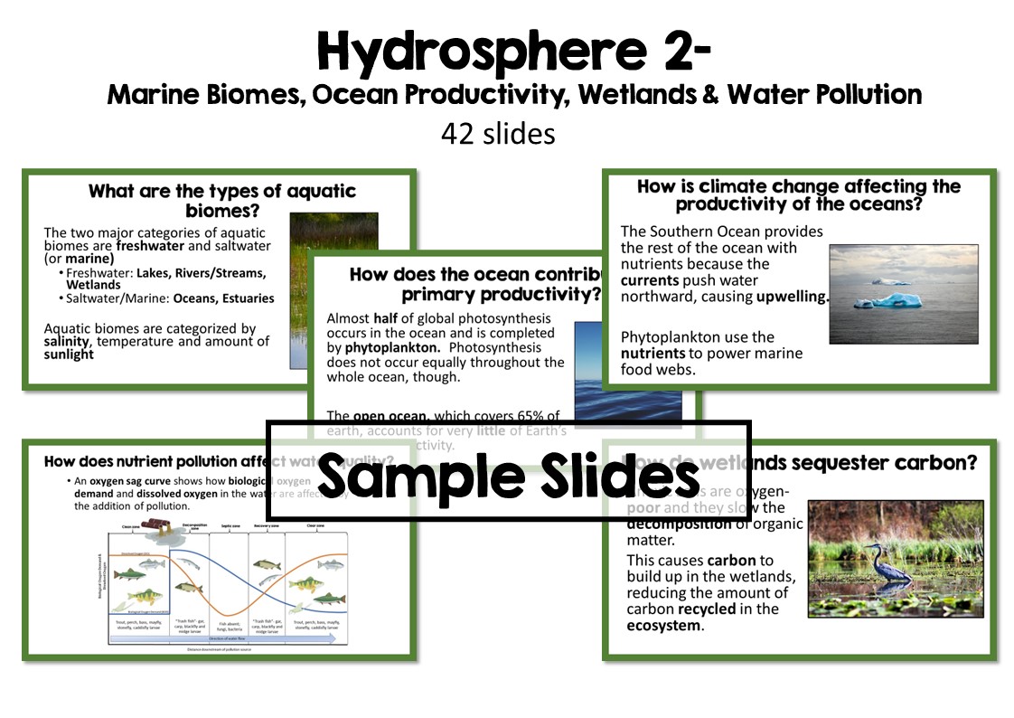 Environmental Science PowerPoint Bundle - Image 12