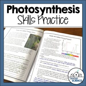 Photosynthesis Practice Pages