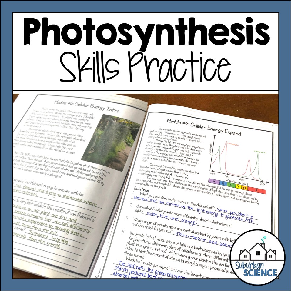 Photosynthesis Practice Pages